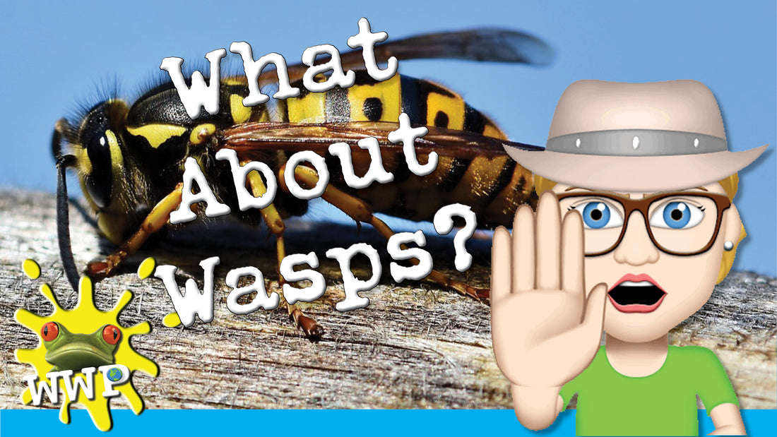 Buzz Off, Wasps! The Weird & Wacky Lifecycle of Late-Summer Intruders