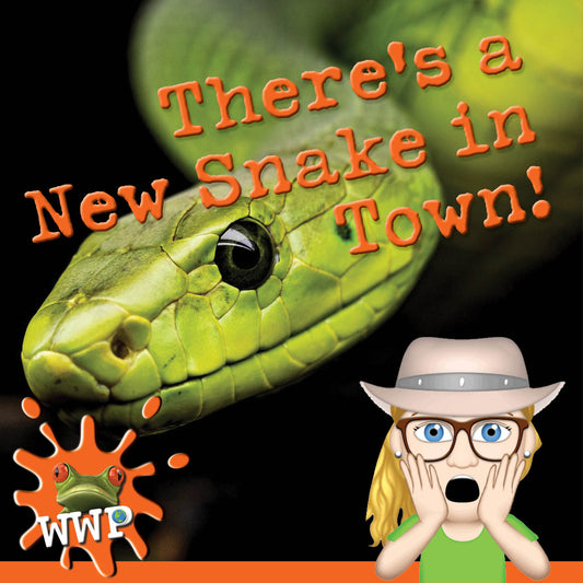 There's a New Snake in Town!