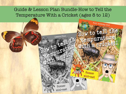 How to Tell the Temperature With a Cricket!